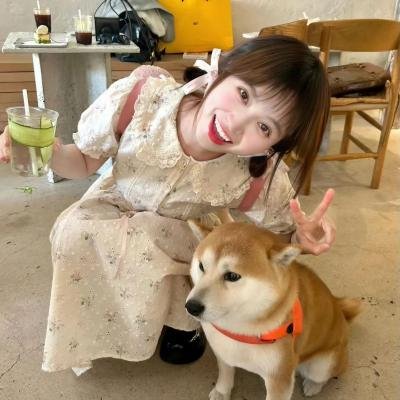汪汪队立大功第一季
